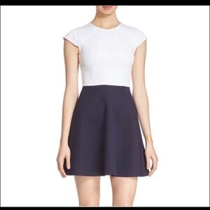 Ted Baker London Color Block Skater Dress